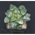 Haworthia 'GREEN SUCCUBUS'